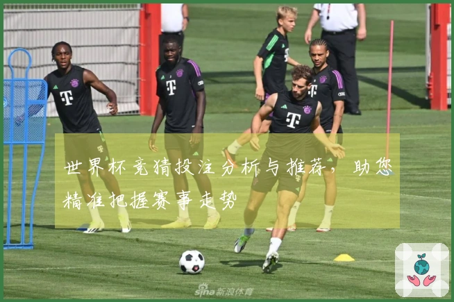 世界杯竞猜投注分析与推荐，助您精准把握赛事走势