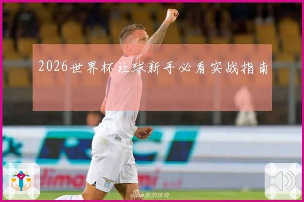 2026世界杯让球新手必看实战指南