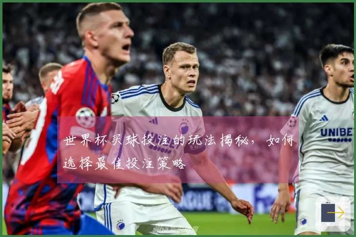 世界杯买球投注的玩法揭秘，如何选择最佳投注策略
